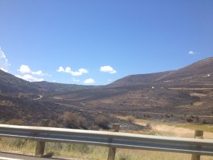 A portion of the area burnt in the Rockport area