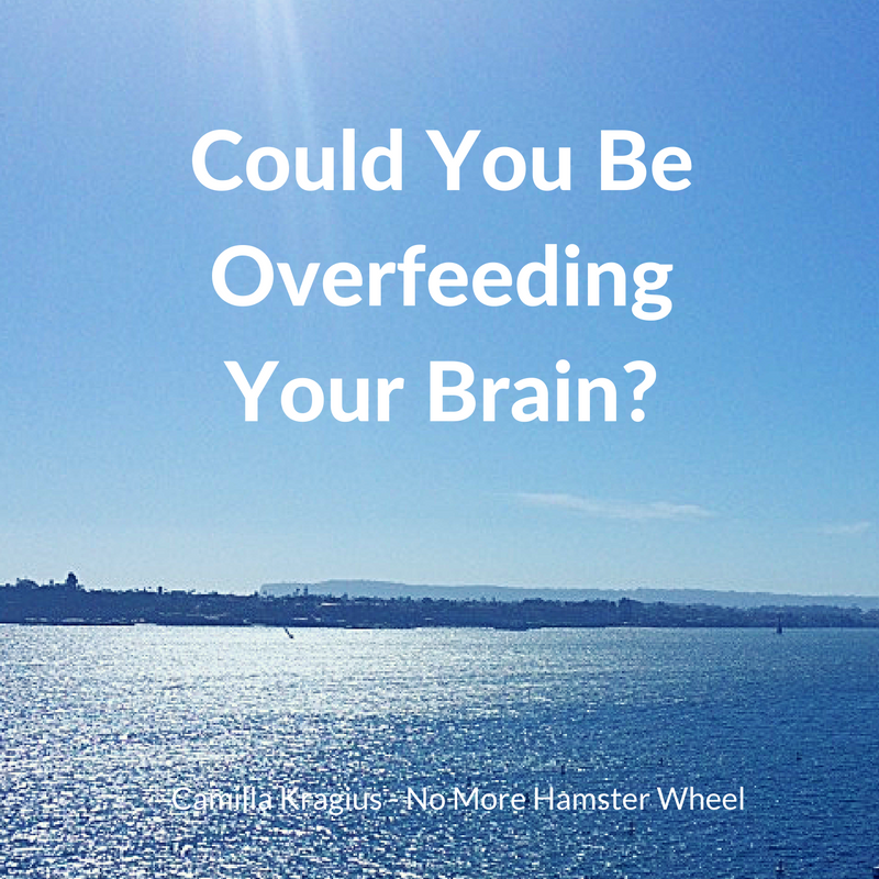 could-you-be-overfeeding-your-brain